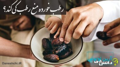 ضرب المثل رطب خورده منع رطب کی کند