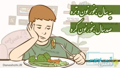یه سال بخور نون و تره