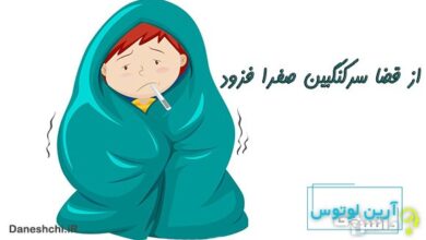 از قضا سرکنگبین صفرا فزود