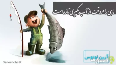 معنی ضرب المثل ماهی را هر وقت از آب بگیری تازه است