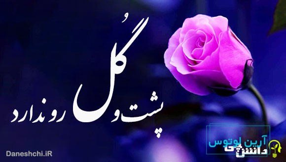 گل پشت و رو ندارد 