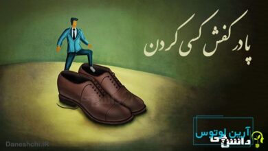 پا در کفش کسی کردن