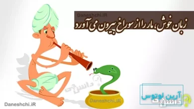زبان خوش مار را از سوراخ بیرون می‌آورد