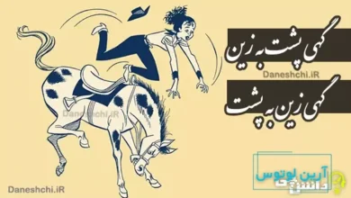 گهی پشت به زین و گهی زین به پشت