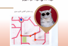 غذای گربه در شیراز