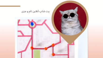 غذای گربه در شیراز