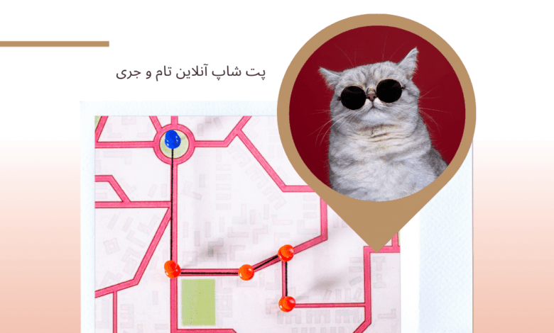 غذای گربه در شیراز