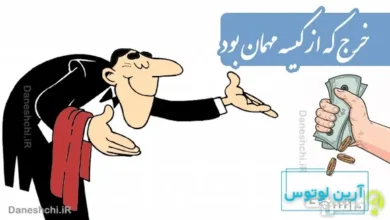 خرج که از کیسه مهمان بود حاتم طایی شدن آسان بود