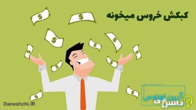 معنی کبکش خروس میخونه