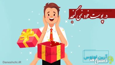 ضرب المثل در پوست خود نمی گنجد