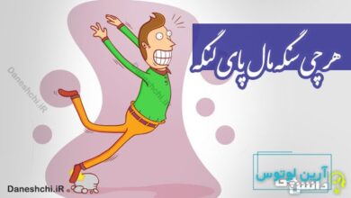 هر چی سنگه مال پای لنگه