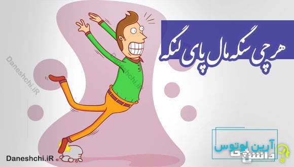 هر چی سنگه مال پای لنگه 