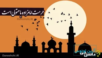 حرمت امامزاده با متولی است