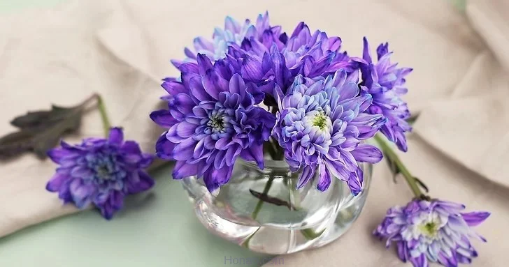 مرحله اول نحوه کار با رنگ اکریلیک