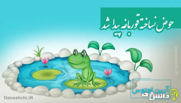 حوض نساخته قورباغه پیدا شد 