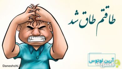 معنی ضرب المثل طاقتم طاق شد