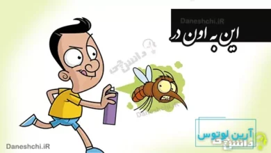 ضرب المثل این به اون در