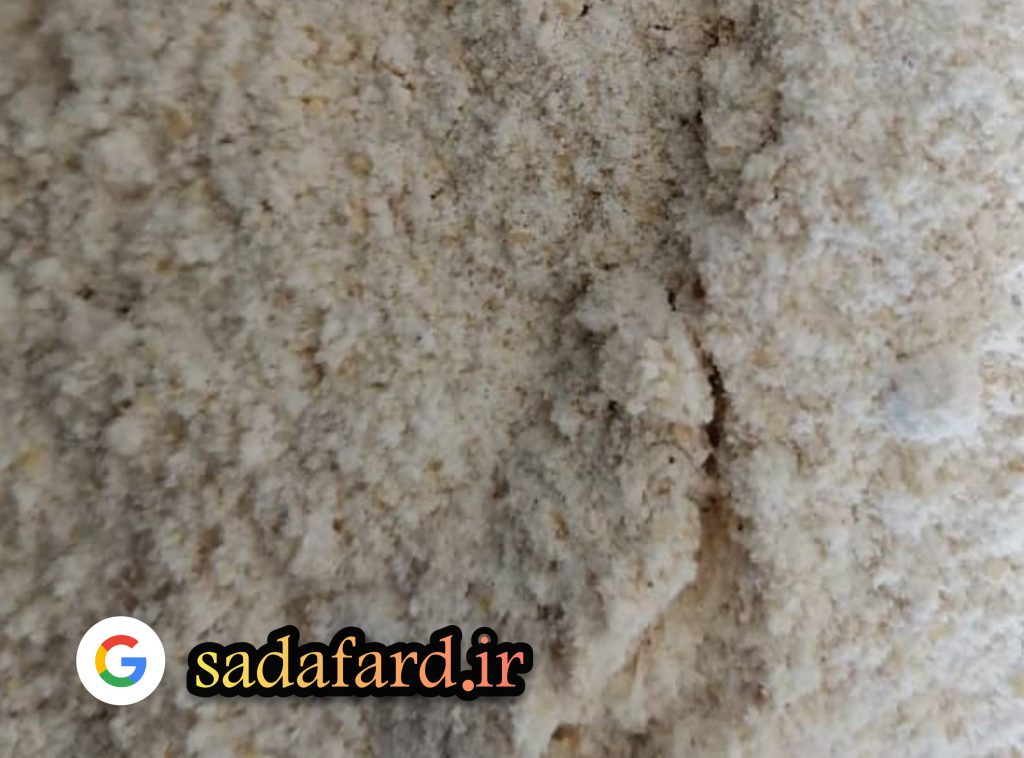 آرد گندم کامل چیست ؟ و ویژگی ها و موارد مصرف آن جیست ؟