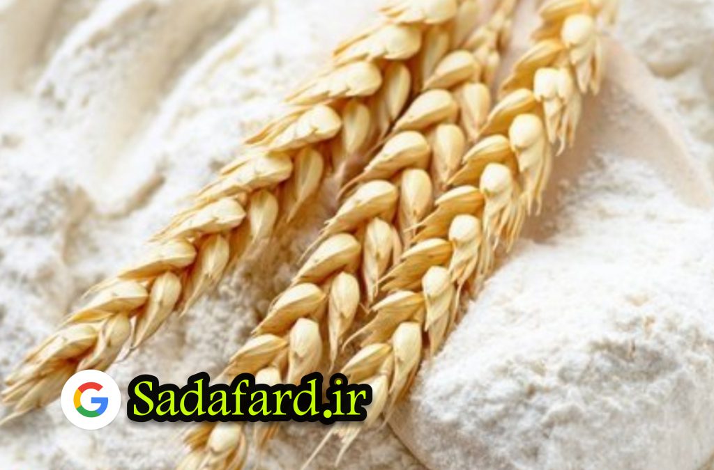 صادرات آرد چیست؟ و به چه صورت در کشور های مختلف انجام می شود؟