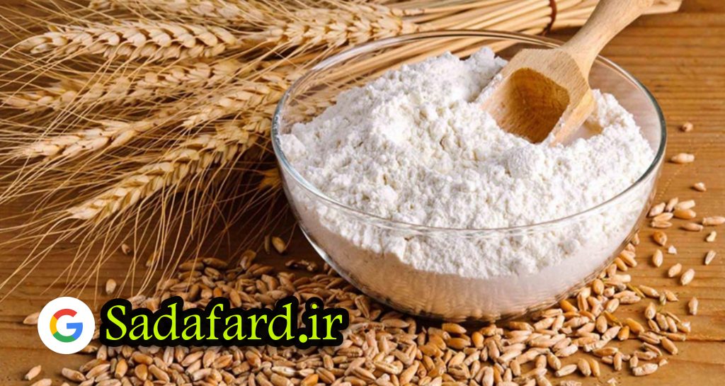 مجری طرح گندم وزارت جهاد کشاورزی گفت: وضعیت تولید گندم در کشور خیلی خوب است.