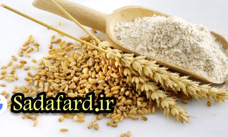 آرد گندم کامل جز آرد سبوسدار می باشد. سبوس فیبر فراوانی دارد.