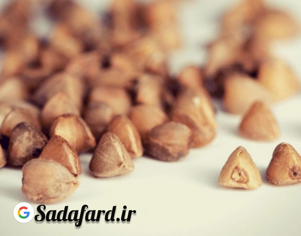 گندم سیاه منبع بزرگی از مواد مغذی مانند پروتئین ، فیبر و انرژی