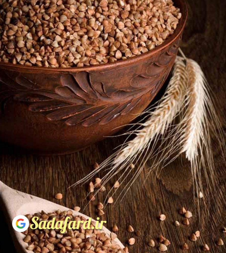 گندم سیاه گزینه مناسبی برای مدیریت وزن