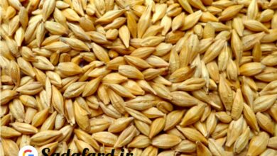 خرید آرد جو سبوس دار