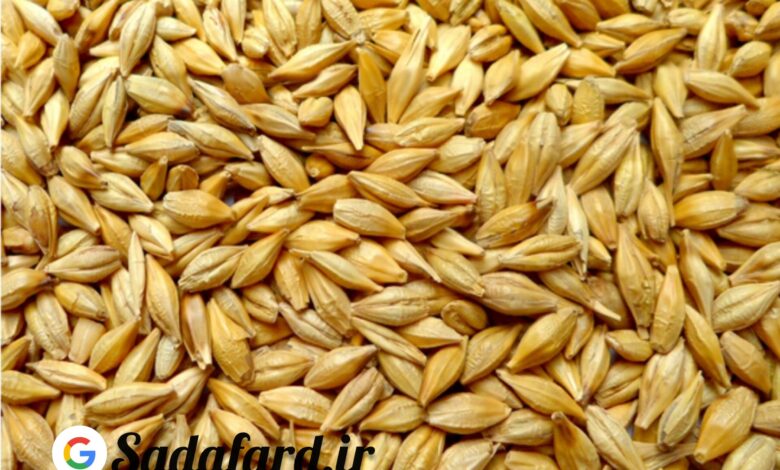 خرید آرد جو سبوس دار