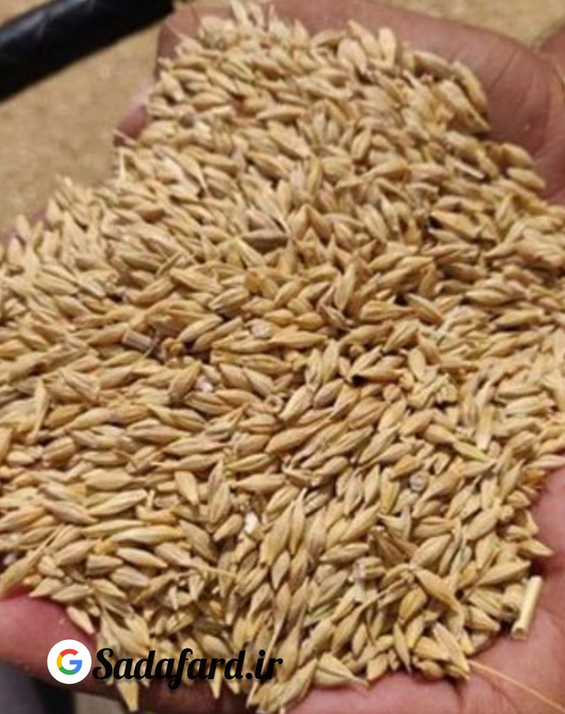 استفاده در آرد جو برای تهیه انواع خمیر
استفاده از آن در تولید نان های سبوس دار
استفاده در تولید ماء الشعیر