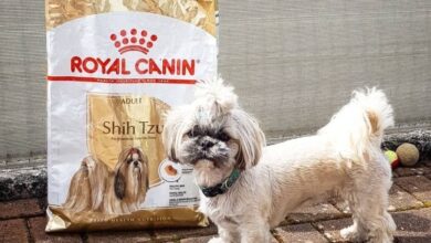 غذای سگ رویال کنین