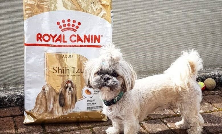 غذای سگ رویال کنین