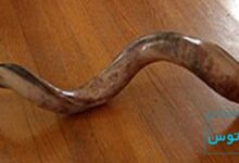 ساز شوفار چیست؟