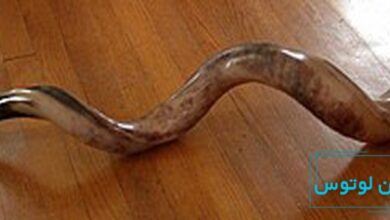 ساز شوفار چیست؟