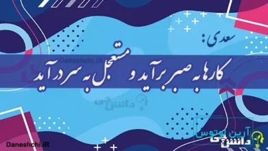 کارها به صبر برآید و مستعجل به سر در آید