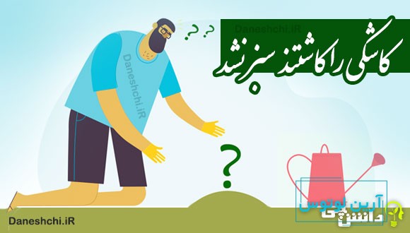 کاشکی را کاشتند سبز نشد