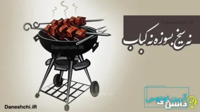 نه سیخ بسوزه نه کباب