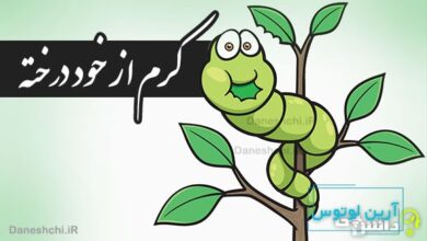 کرم از خود درخته