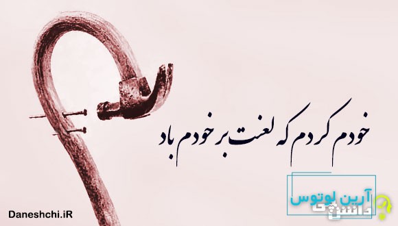 خودم کردم که لعنت بر خودم باد 