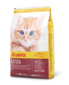 راهنمای خرید غذای خشک برای بچه گربه