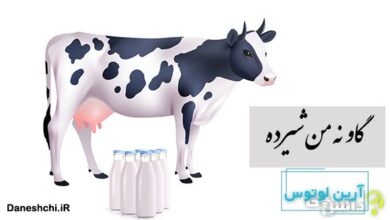 ضرب المثل گاو نه من شیرده