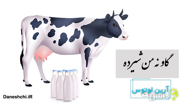 ضرب المثل گاو نه من شیرده