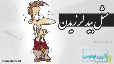 مثل بید لرزیدن
