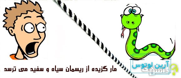 مار گزیده از ریسمان سیاه و سفید می ترسد