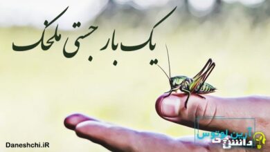 یك بار جستی ملخک