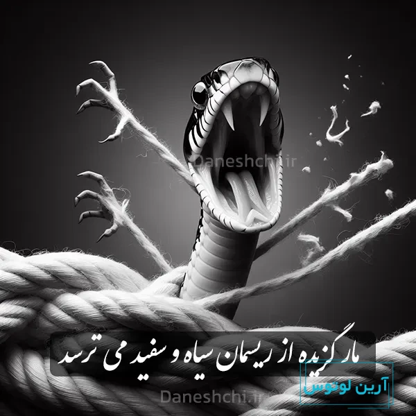 مار گزیده از ریسمان سیاه و سفید می ترسد