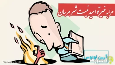 معنی ضرب المثل مرا به خیر تو امید نیست شر مرسان