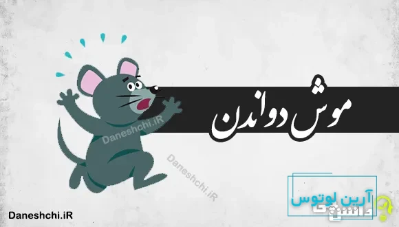 موش دواندن 