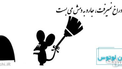 موش تو سوراخ نمیرفت، جارو به دمش می بست