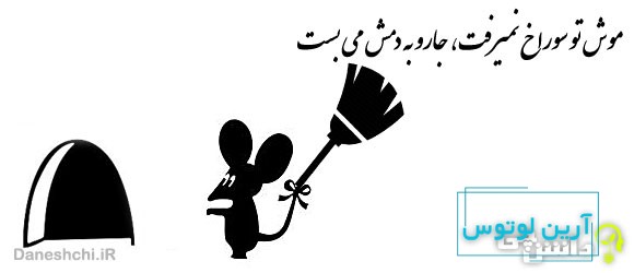 موش تو سوراخ نمیرفت، جارو به دمش می بست